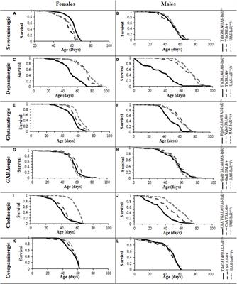 Reduced Insulin Signaling Targeted to Serotonergic Neurons but Not Other Neuronal Subtypes Extends Lifespan in Drosophila melanogaster